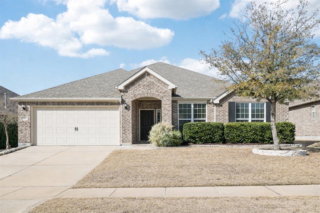 3613 Texas Dall Court, McKinney