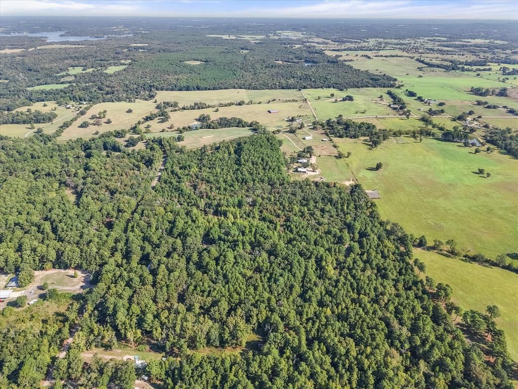 6723 County Road 4837, Larue