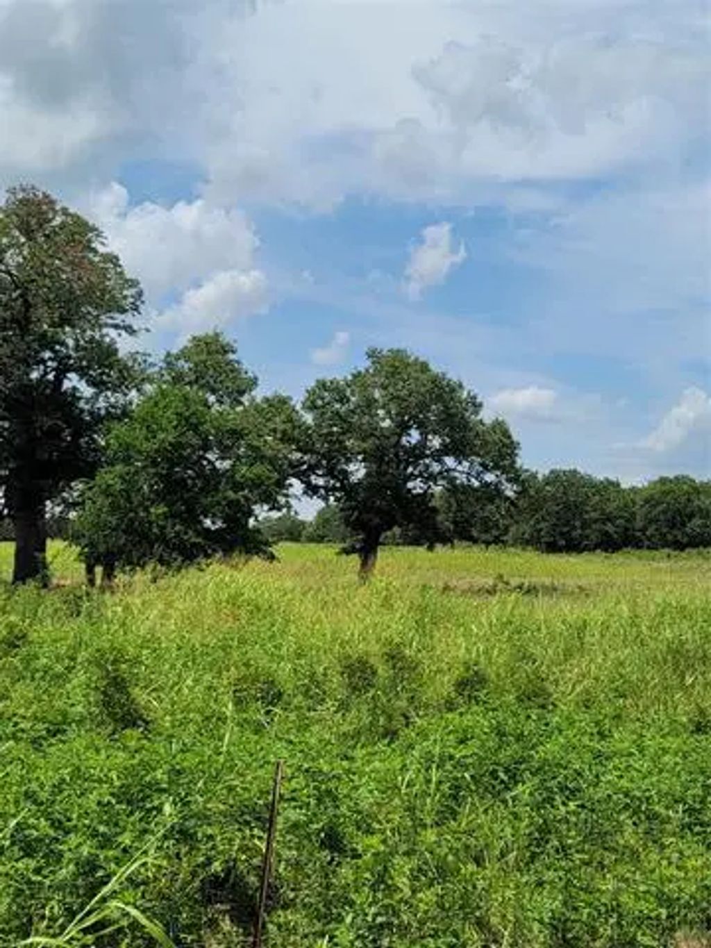 Hwy 59 S, Bowie