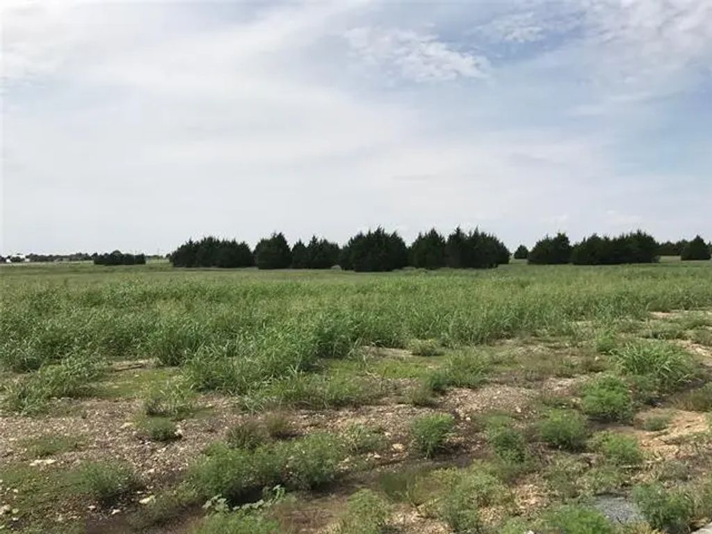 1730 Carroll Moran Trail, Midlothian