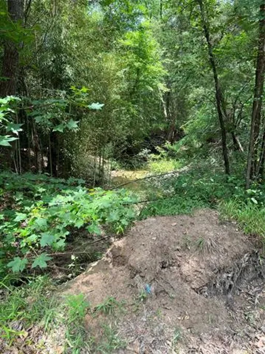 Cr 4131, Mount Vernon