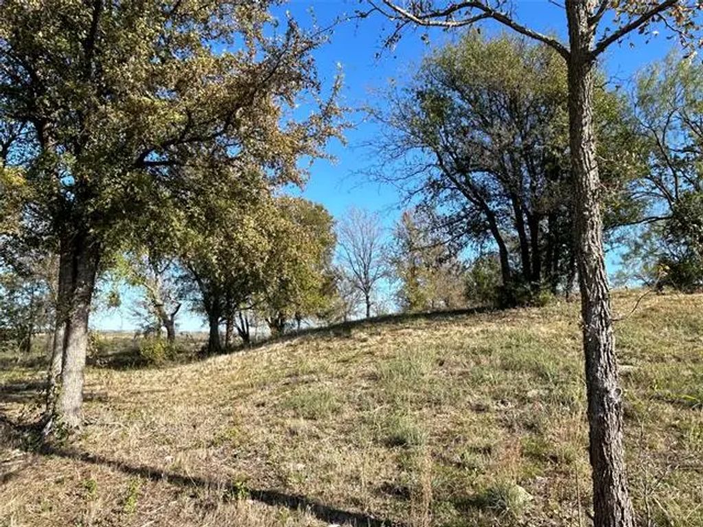 2010 Hidden Bluff Drive, Aledo