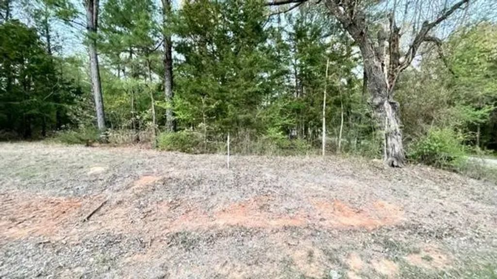 Lot 147 Navasota, Mount Vernon