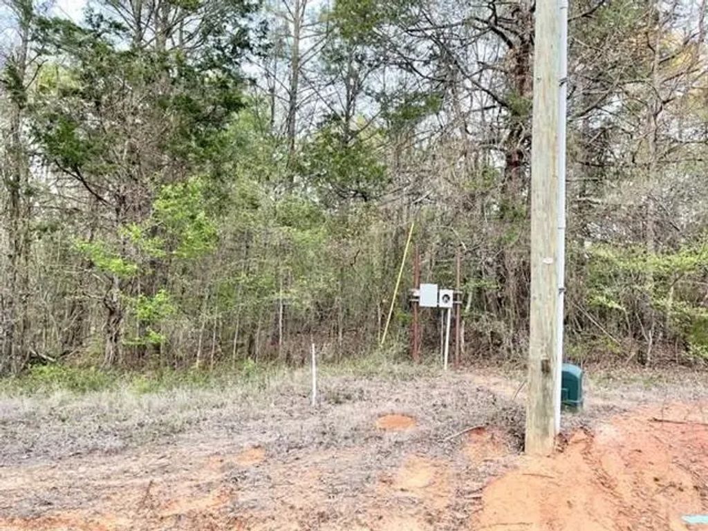 Lot 149 Navasota, Mount Vernon
