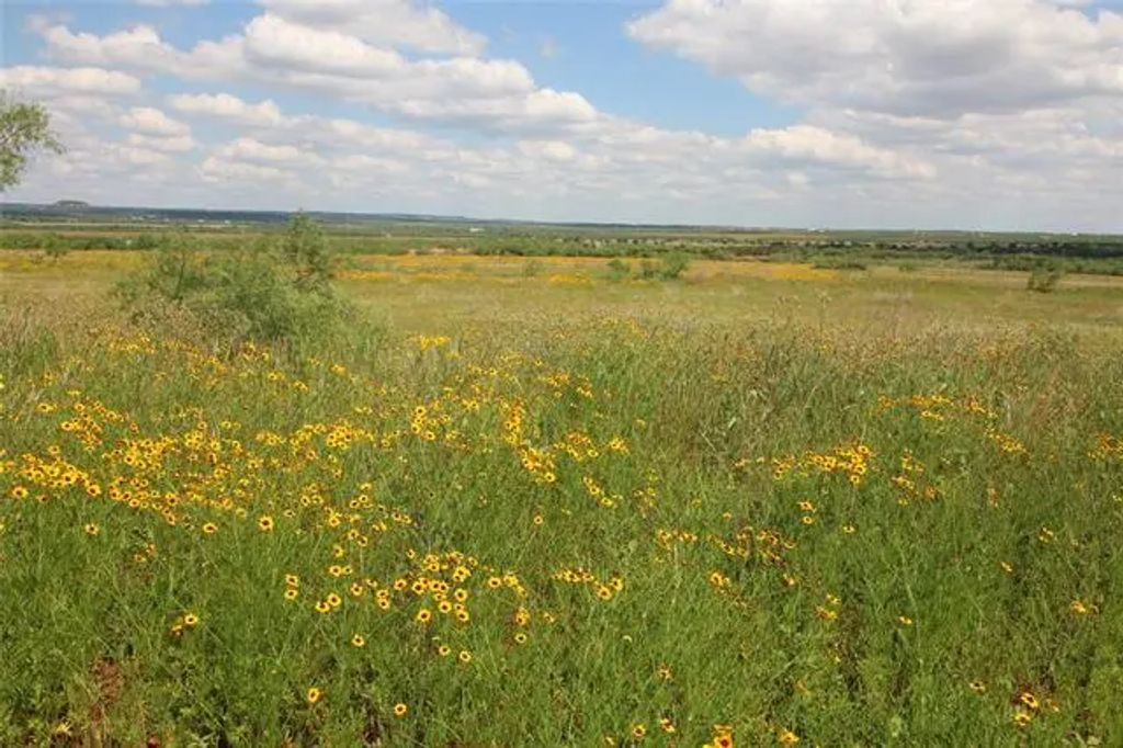 Lot 2 Marshal Trail, Tuscola