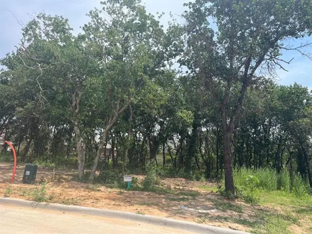 103 Peace Lily Way, Tolar