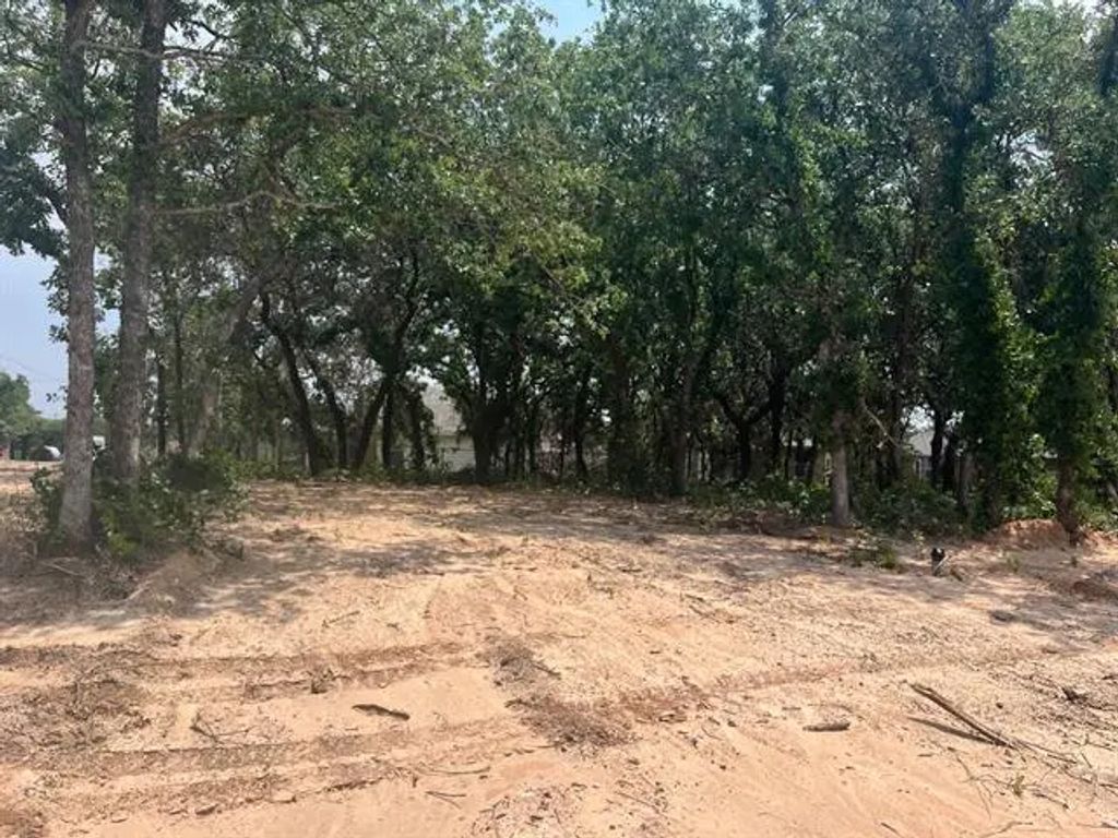 123 Peace Lily Way, Tolar