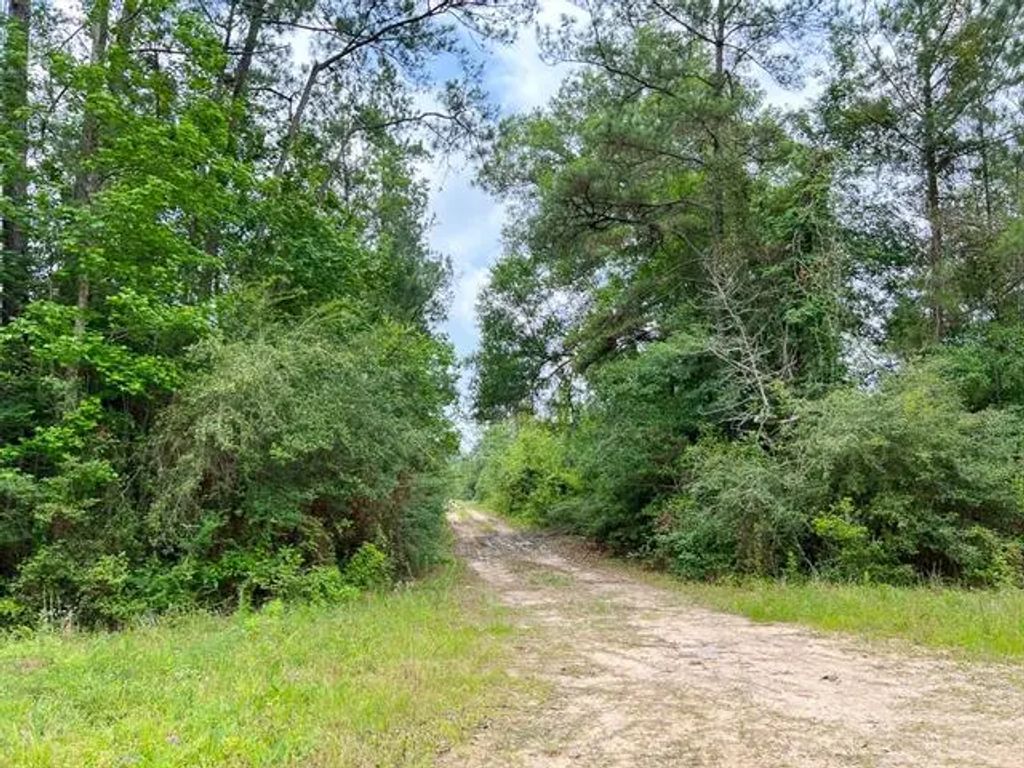 013 Old Arco Rd, Silsbee