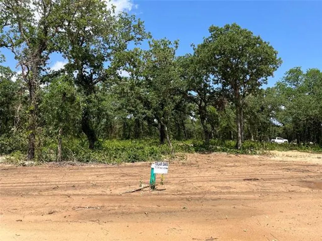 420 Peace Lily Way, Tolar