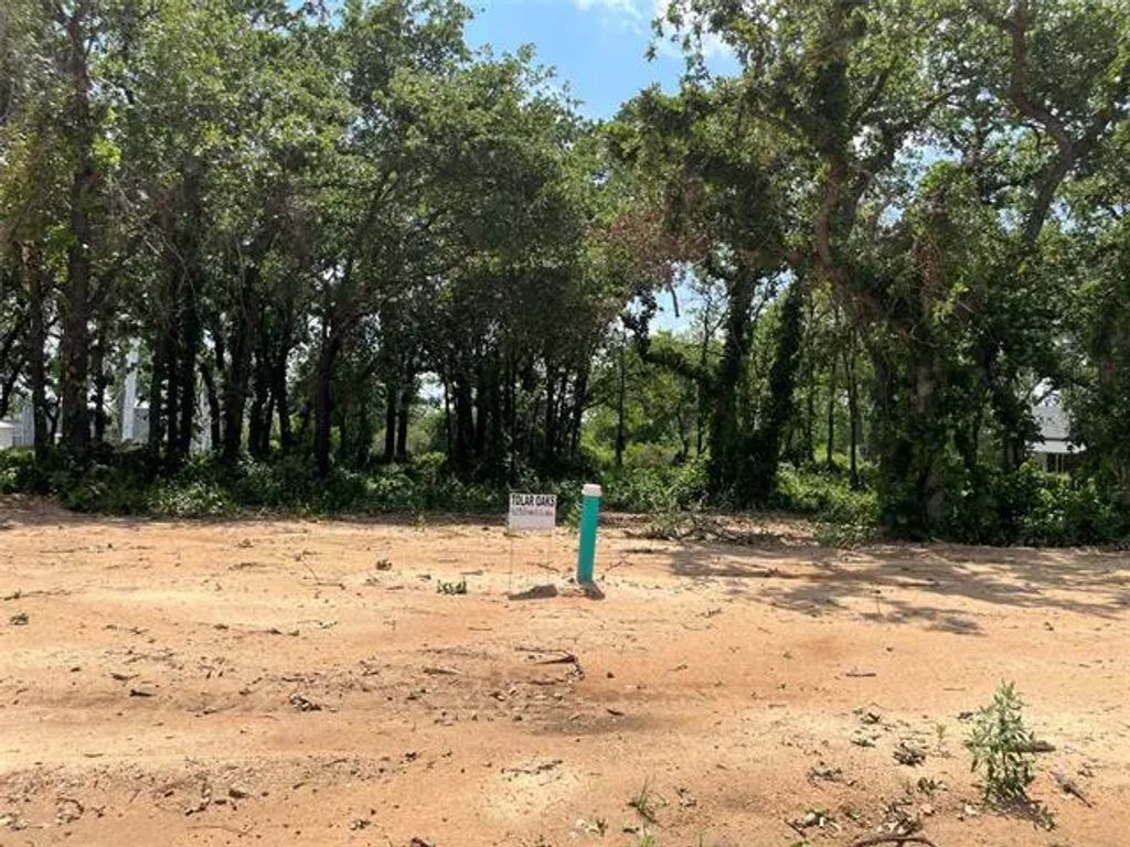 409 Peace Lily Way, Tolar