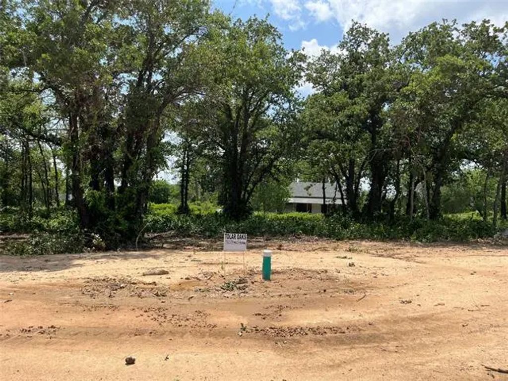 413 Peace Lily Way, Tolar