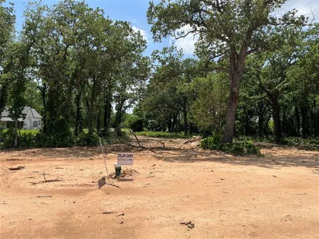 421 Peace Lily Way, Tolar