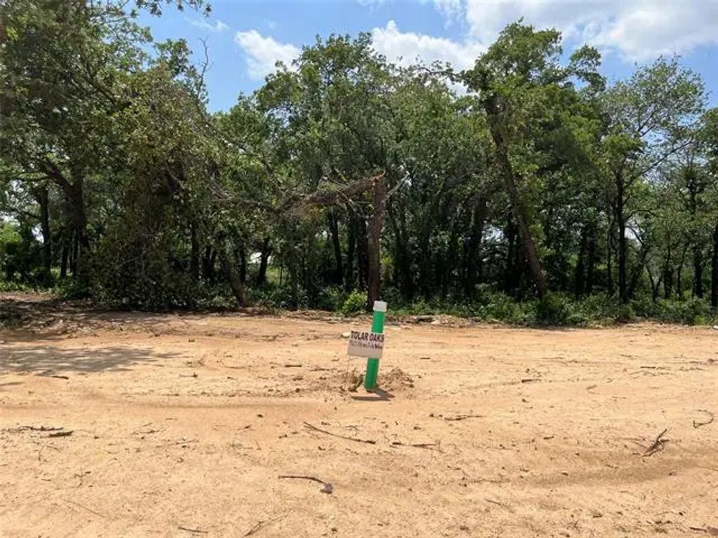 425 Peace Lily Way, Tolar