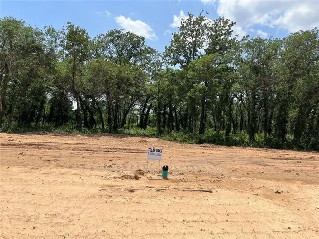 433 Peace Lily Way, Tolar