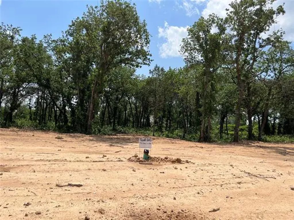 441 Peace Lily Way, Tolar