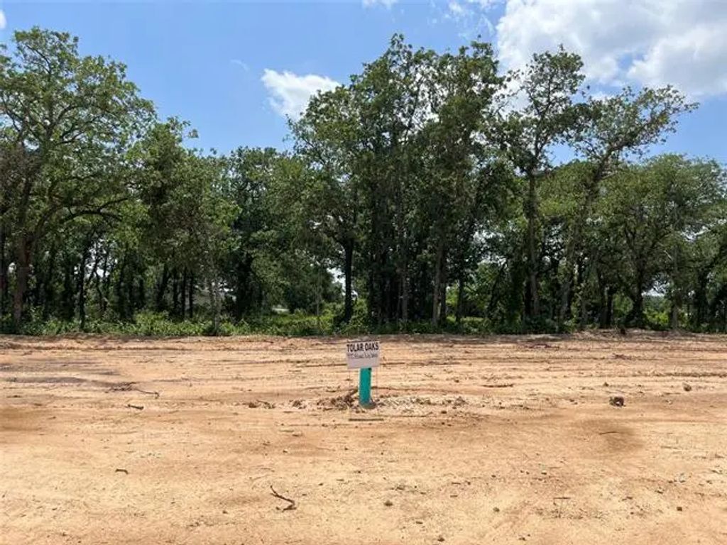 445 Peace Lily Way, Tolar