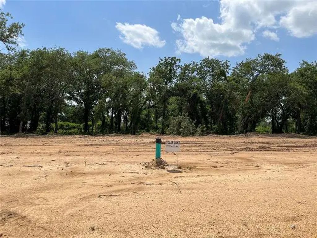 449 Peace Lily Way, Tolar