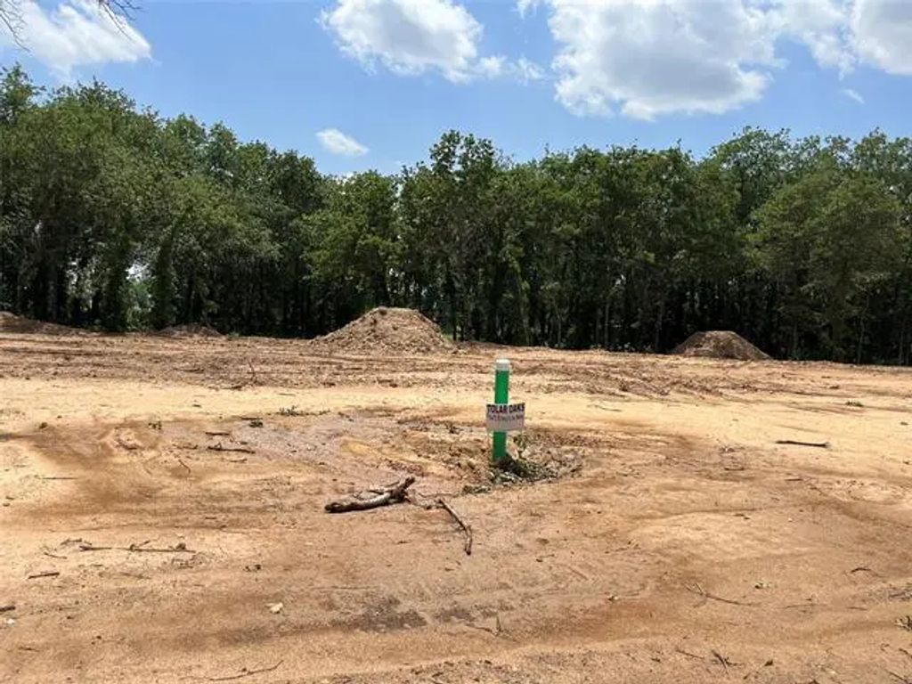 469 Peace Lily Way, Tolar