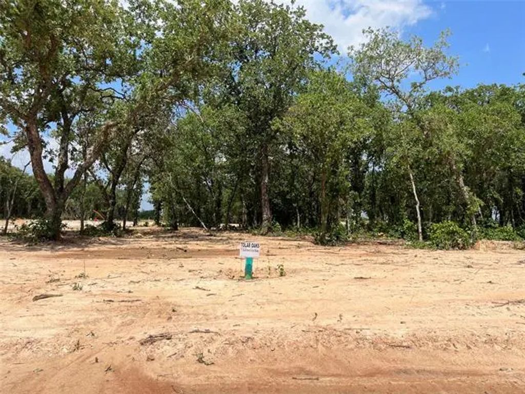 476 Peace Lily Way, Tolar