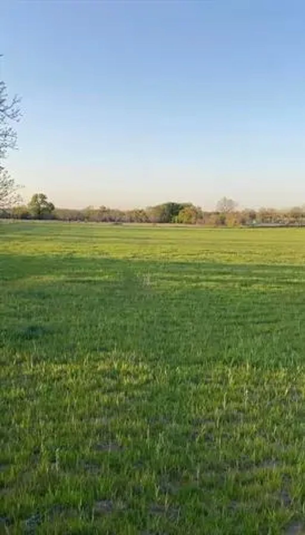 Lot 9 County Road 3420, Bridgeport