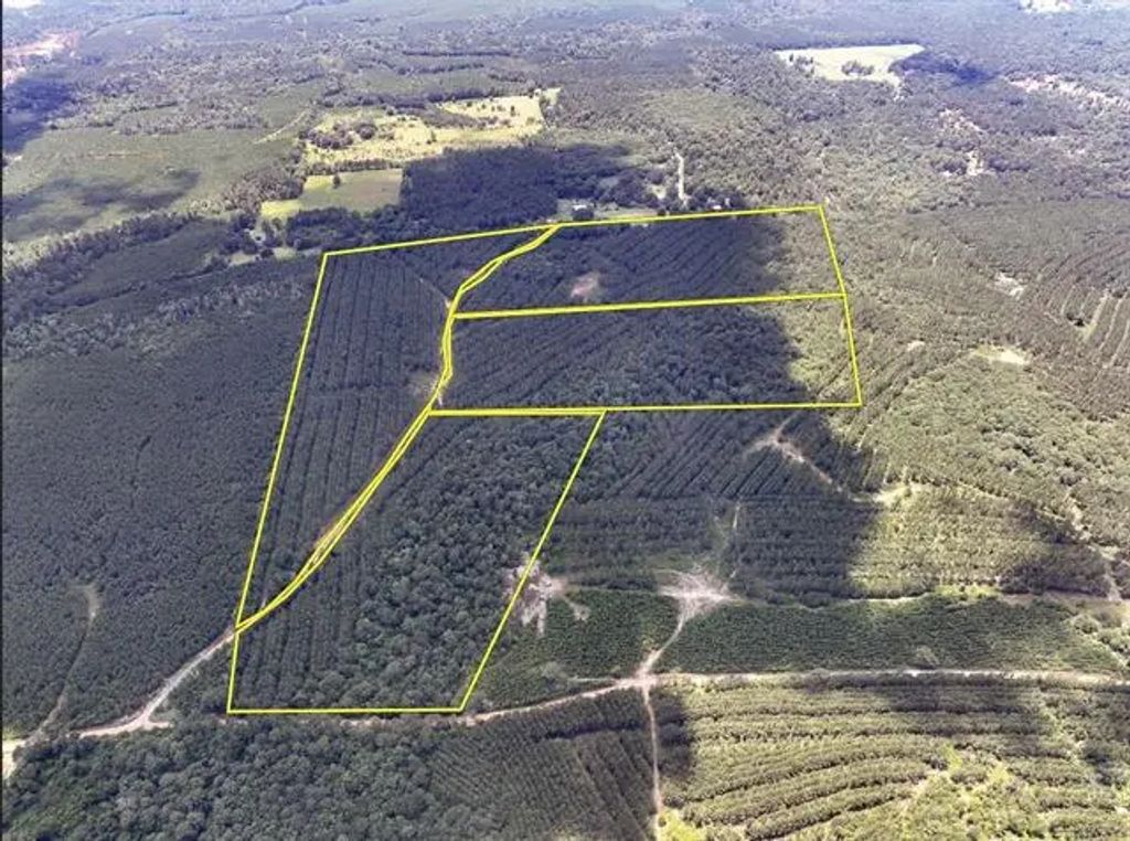County Road 1325, Woodville