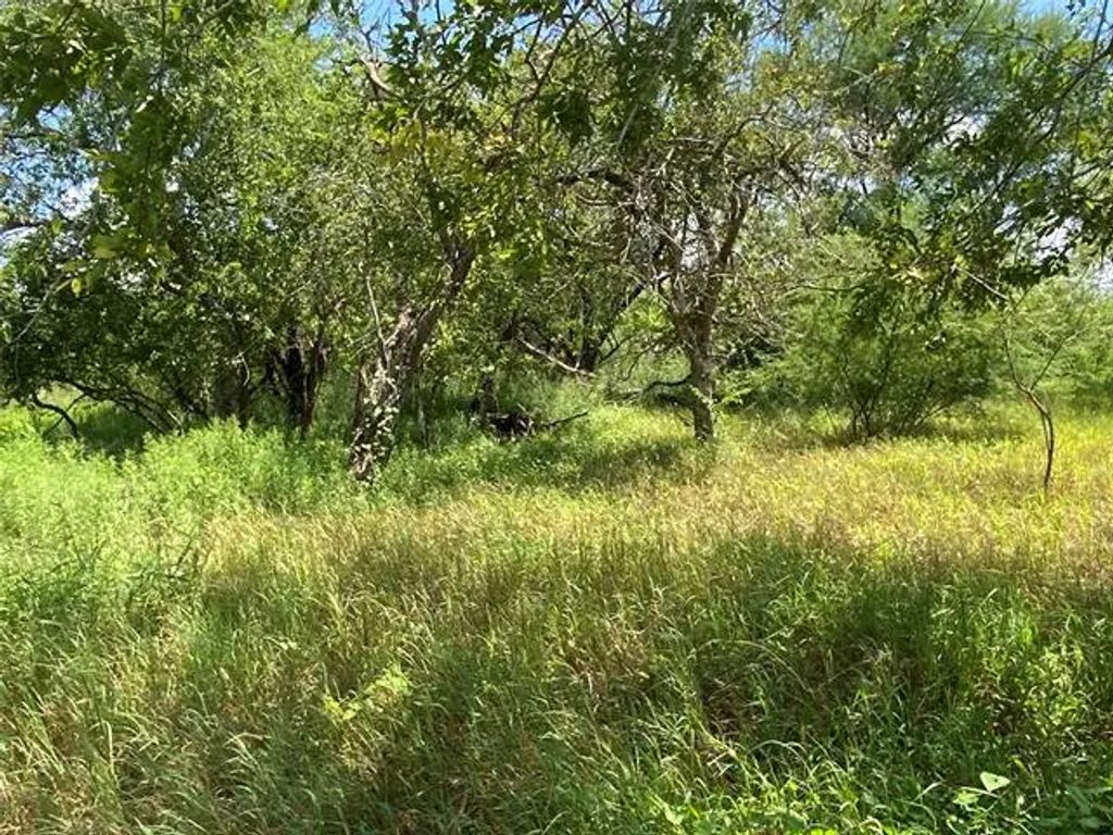 14135 County Road 1144, Sinton