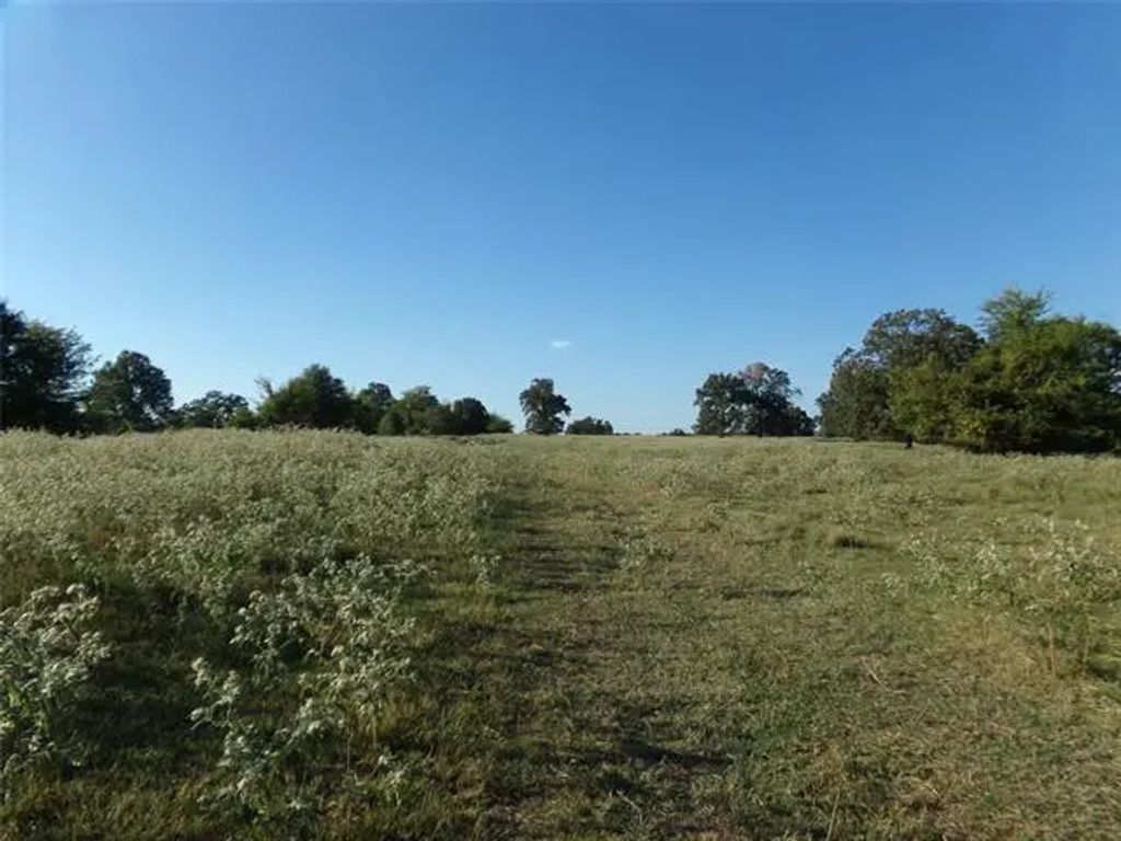 1753 Fm 194, Blossom