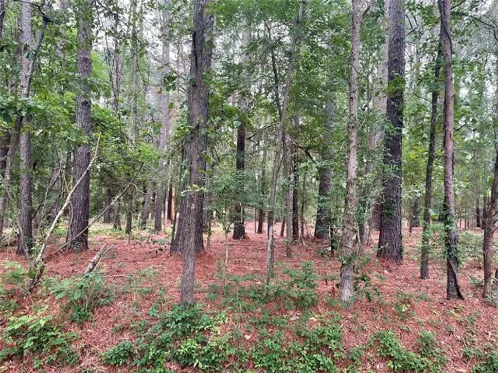 20312 County Road 4106 Lot 13, Lindale