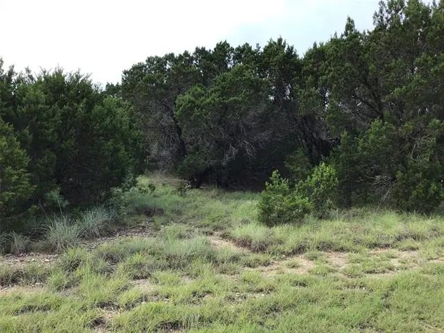 Photo of Listing #20514179