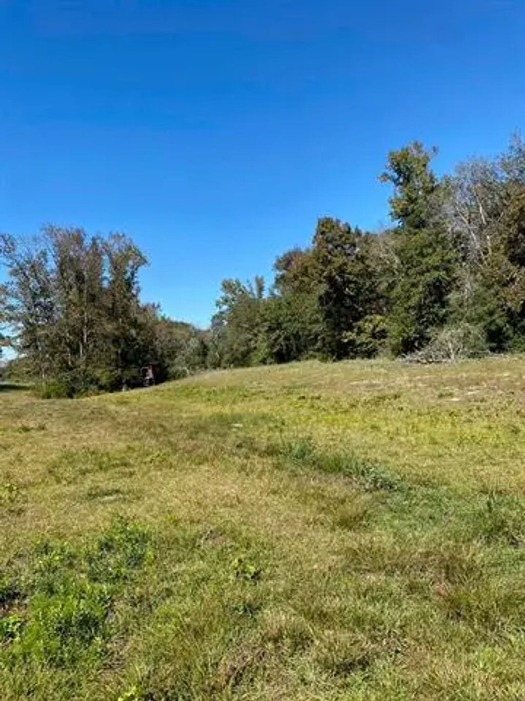 Tbd 008 County Rd 242, Oakwood