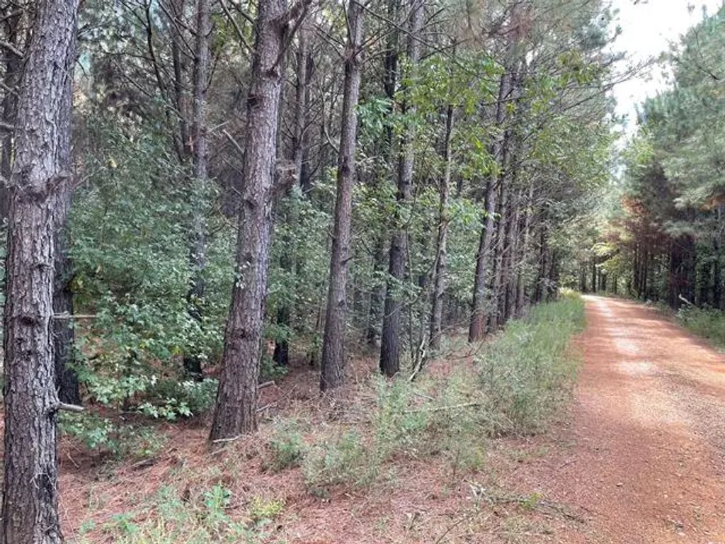Chalybeate Springs, Plain Dealing