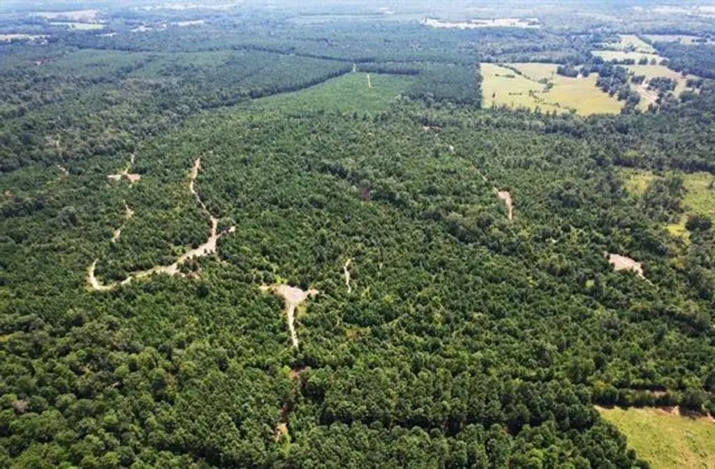 Tbd County Road 3163, Laneville