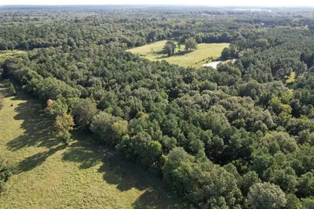 Tbd County Road 168-1, Long Branch