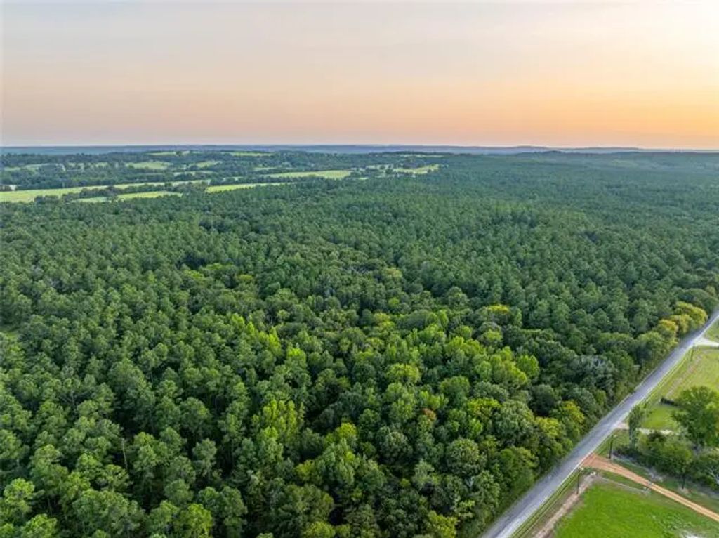 Tract 10 County Road 4222, Frankston