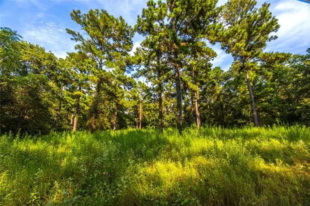 Tract 11 County Road 4222, Frankston