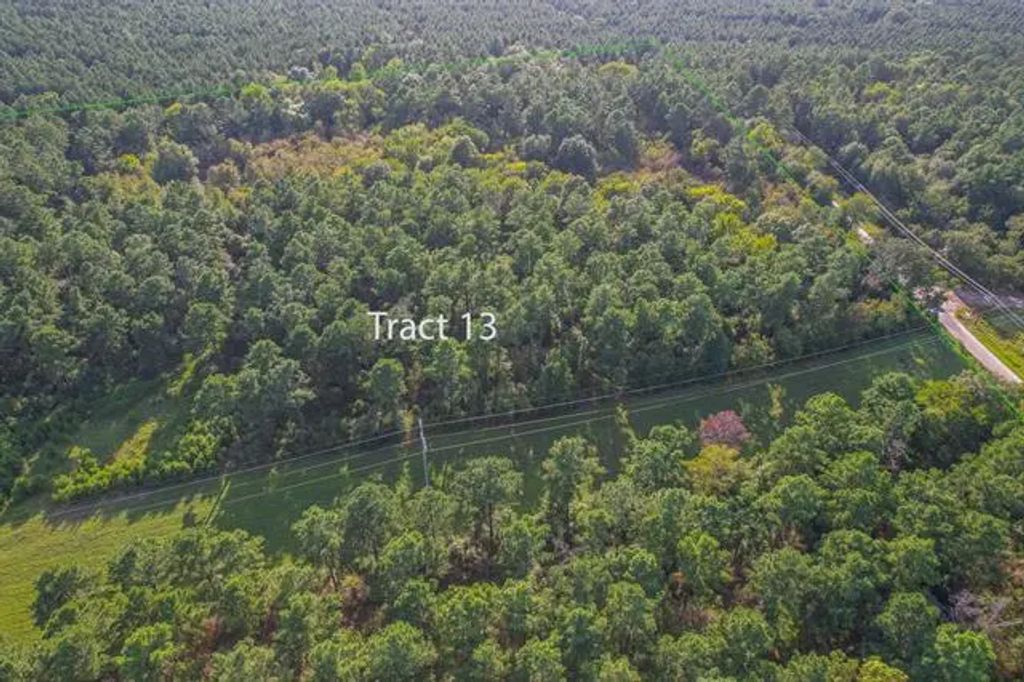 Tract 13 County Road 4224, Frankston