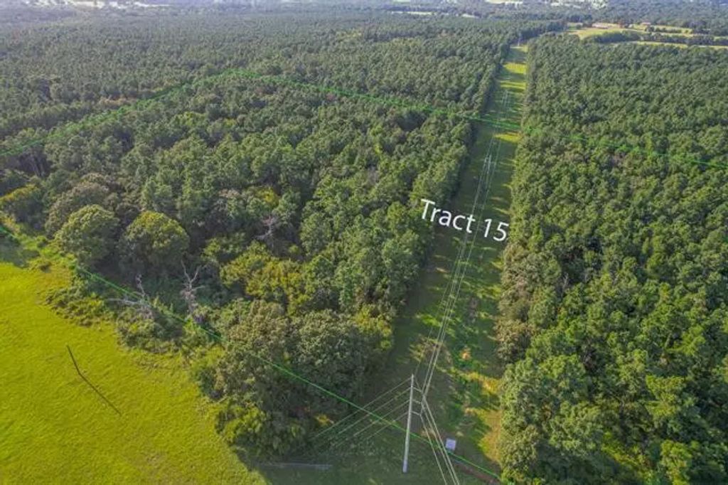 Tract 15 County Road 4224, Frankston