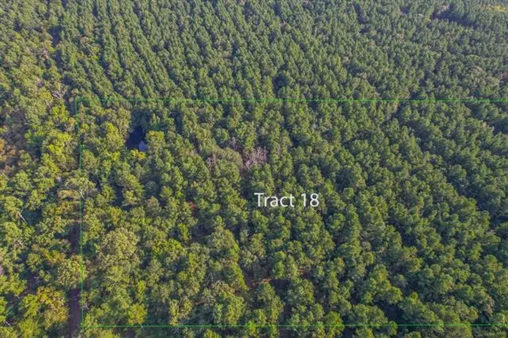 Tract 18 County Road 4224, Frankston