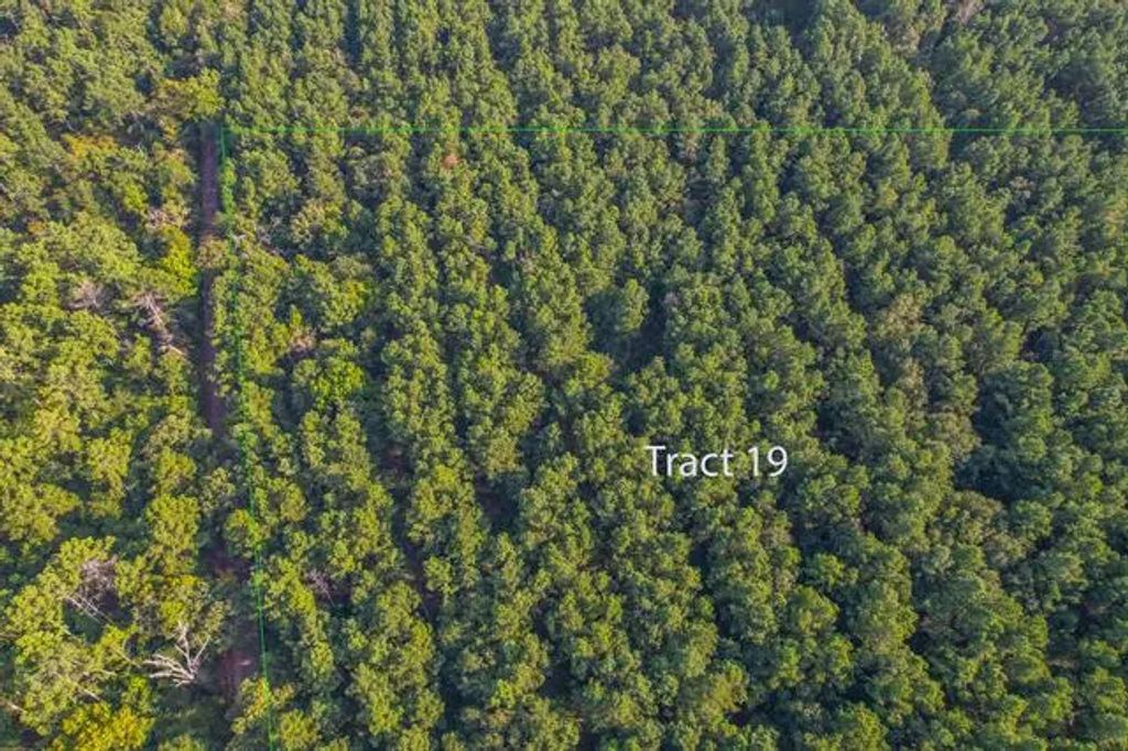 Tract 19 County Road 4224, Frankston