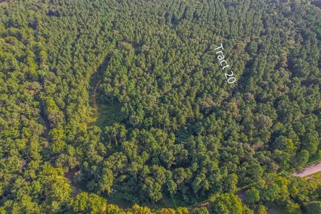 Tract 20 County Road 4224, Frankston