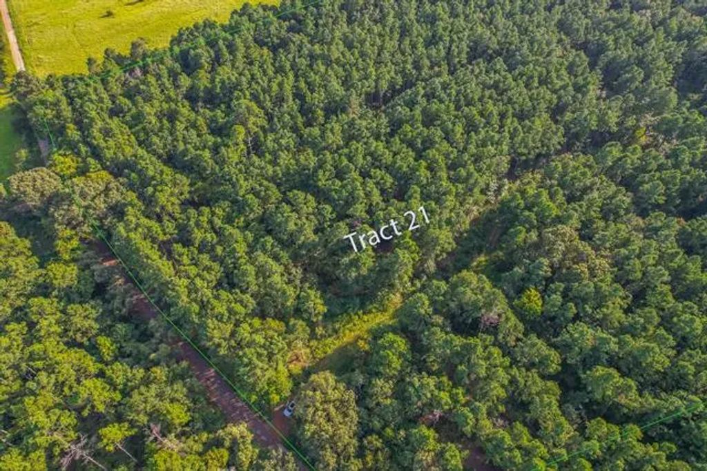 Tract 21 County Road 4224, Frankston