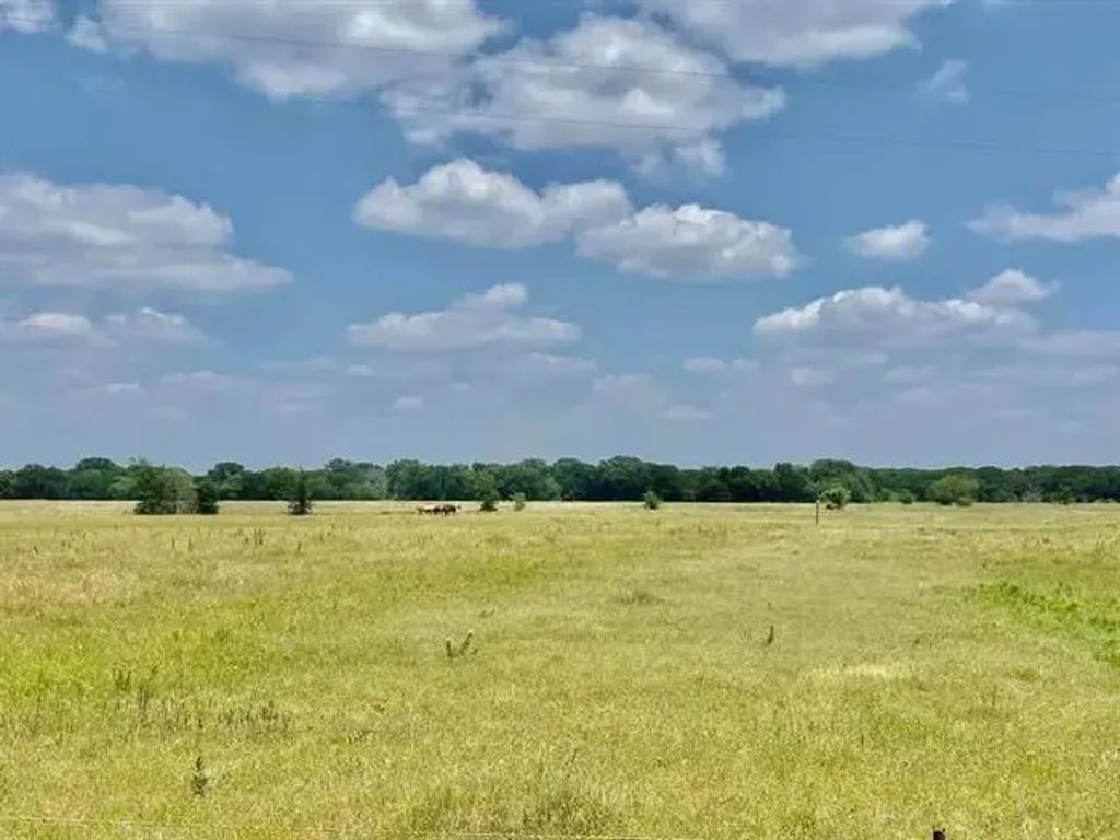 12053 S 34 Highway, Scurry