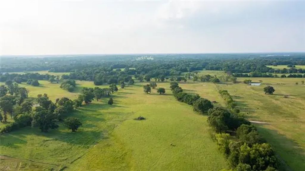 Tbd Fm 316 N, Eustace