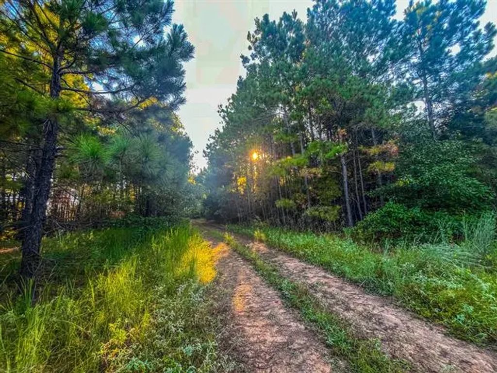 W Us Highway 175, Jacksonville
