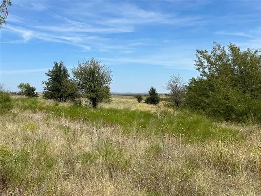 4041 Mirielle Drive, Aledo