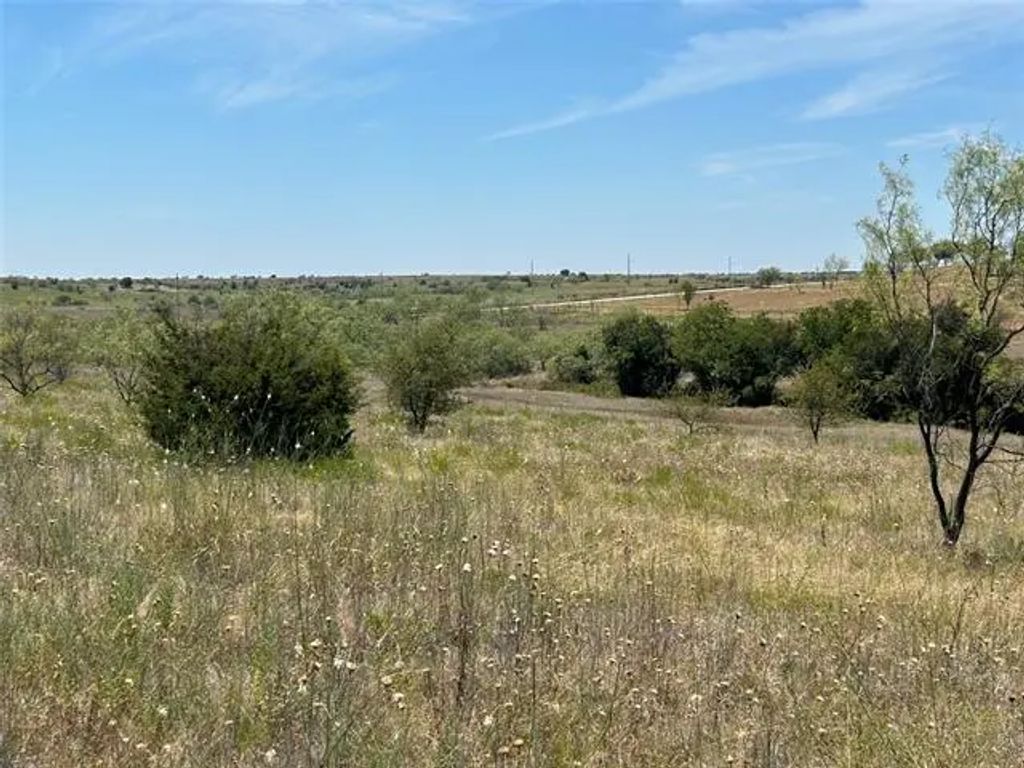 4031 Mirielle Drive, Aledo