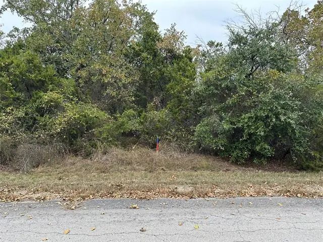Photo of Listing #20784996