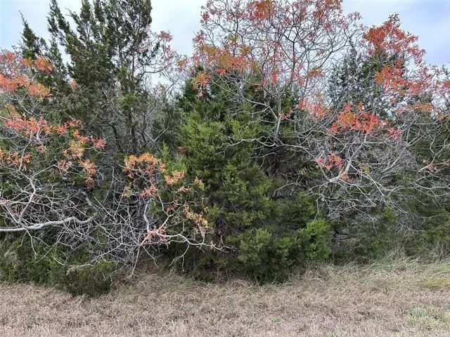 Photo of Listing #20785043