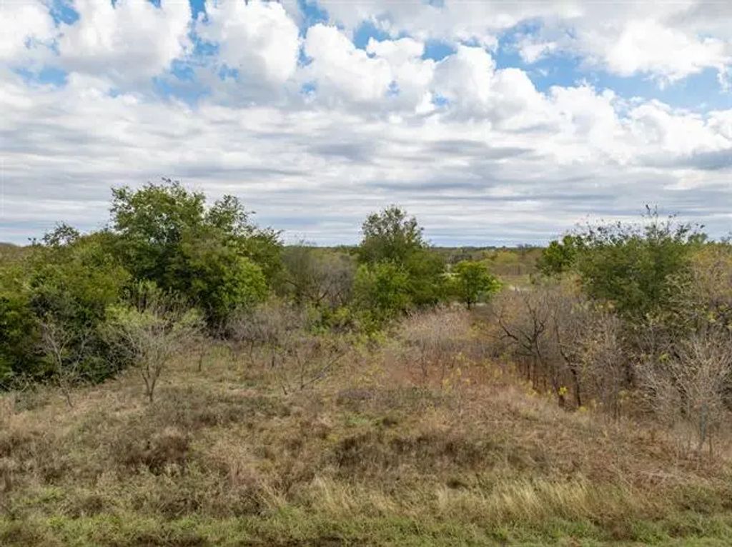 39208 Cross Timber Drive, Whitney