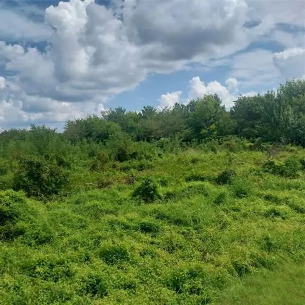 1085 Deen Point Road, Benton